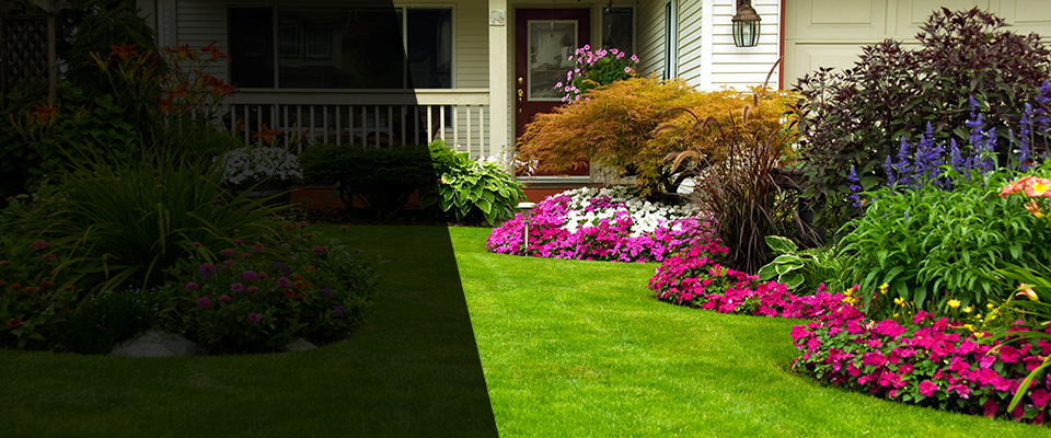 Dresser Landscapers